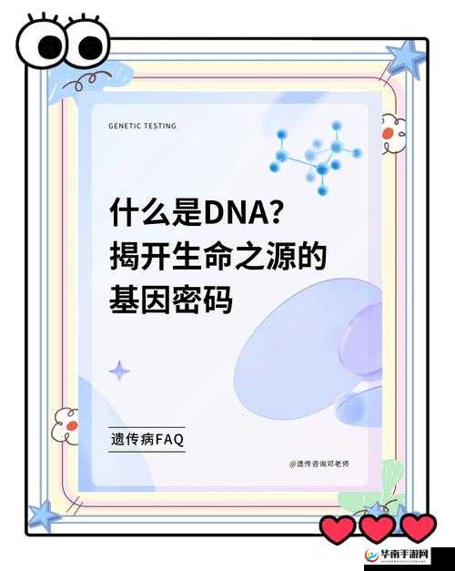 探索bl乳孔触手的奥秘：深入了解其独特结构与功能特性，揭秘其在生物学中的重要作用与应用前景