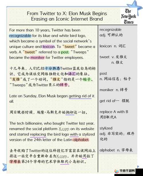 推特最新版有何新特性？全面解析推特最新版的功能与亮点