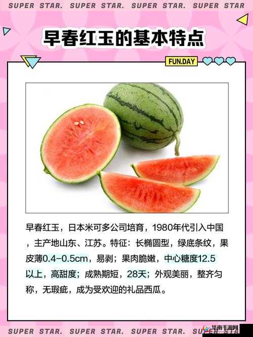 高嫁柳嫁家西瓜种植秘籍：如何提高产量与品质的全攻略  高嫁柳嫁家西瓜品种解析：从选种到收获的全程管理技巧  高嫁柳嫁家西瓜栽培技术：打造高产优质西瓜的关键步骤  高嫁柳嫁家西瓜种植经验分享：如何实现高效种植与市场热销  高嫁柳嫁家西瓜的种植与管理：从田间到餐桌的全流程指南