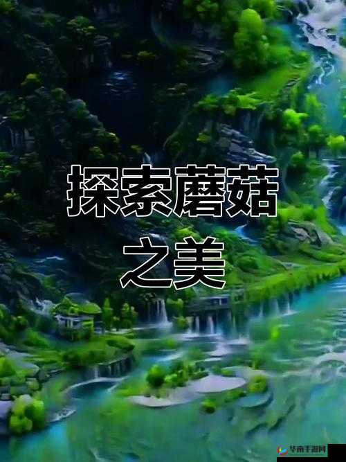 蘑菇视频无限解锁版 2023：你想知道的都在这里蘑菇视频无限解锁版 2023 有哪些亮点功能？蘑菇视频无限解锁版 2023：如何轻松畅享精彩内容？