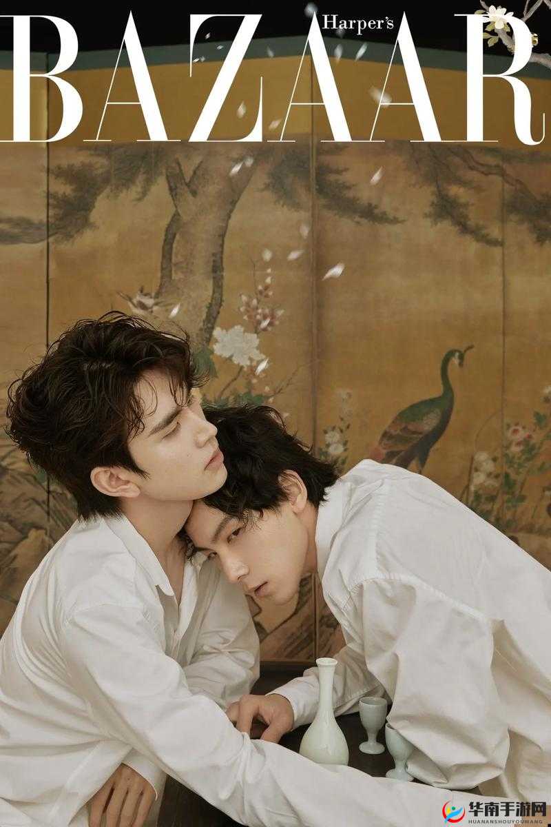 双男主真人高清素材大全视频中那些令人心动的精彩瞬间有哪些双男主真人高清素材大全视频里那些独特的情节呈现如何双男主真人高清素材大全视频里那些魅力十足的角色形象亮点是什么