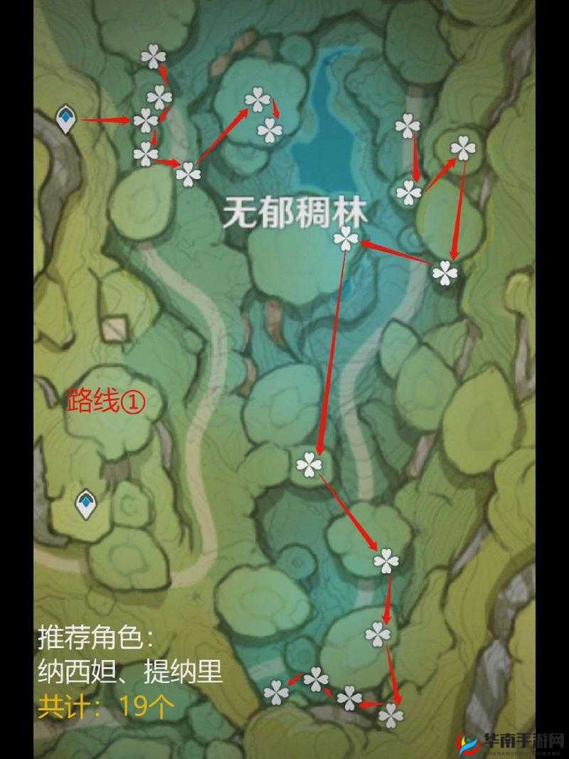 原神须弥树王圣体菇采集地点深度解析