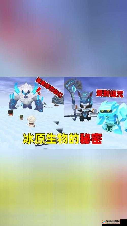 冰原守卫者冰龙怎么孵化出来，全面攻略与深度解析