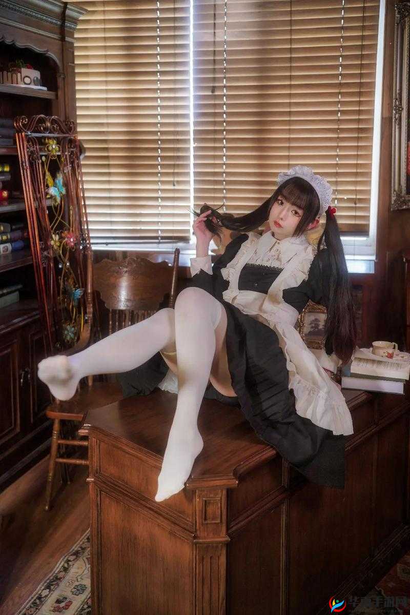 探索白丝女仆SM乳夹自愿调教文化：深度解析其背后的心理与社会影响