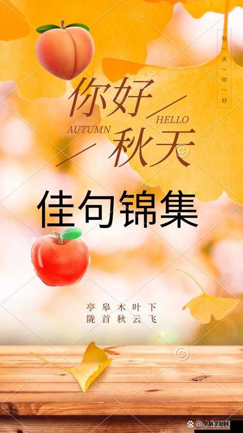 七十八秋末的收获：钰慧的故事