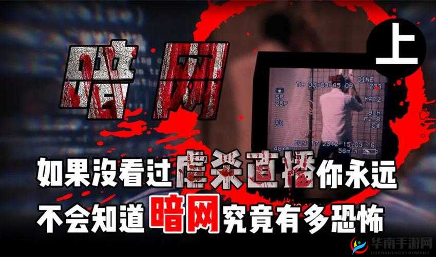 外网杀头网站 2023：揭秘网络黑暗面的致命威胁