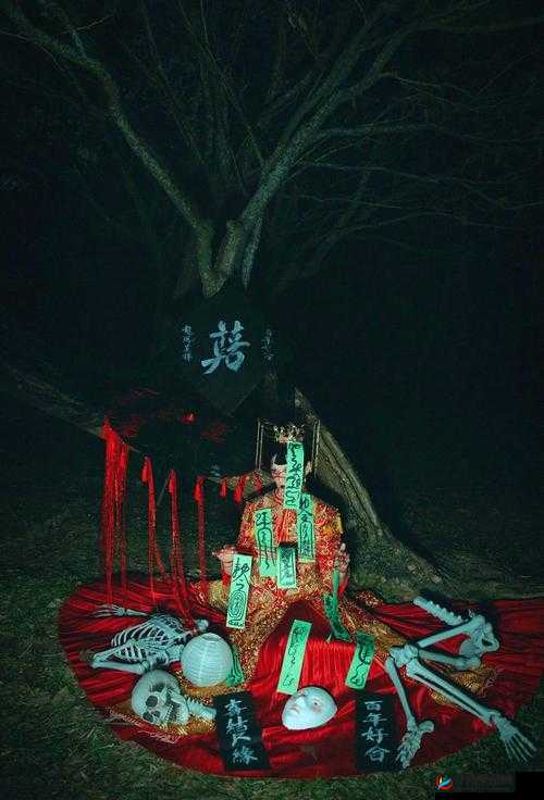 被诅咒的新娘：神秘古宅的恐怖真相