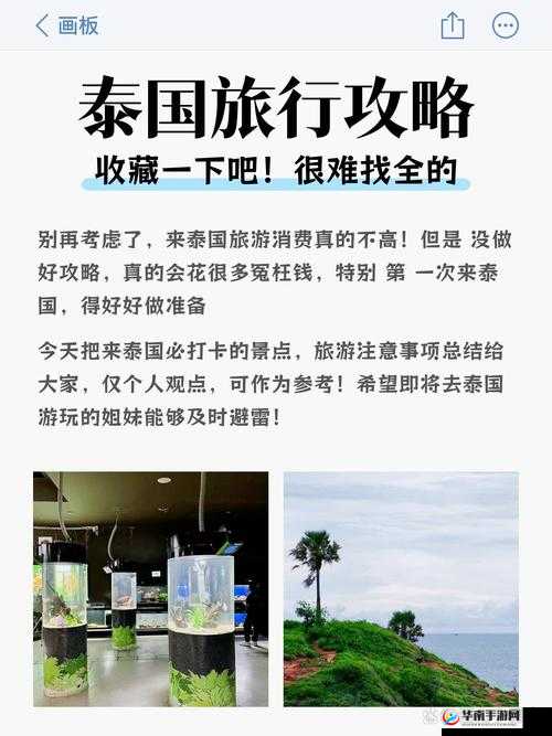 泰国小幼稚的独特魅力：探索其文化背景与流行趋势，为何如此受欢迎？