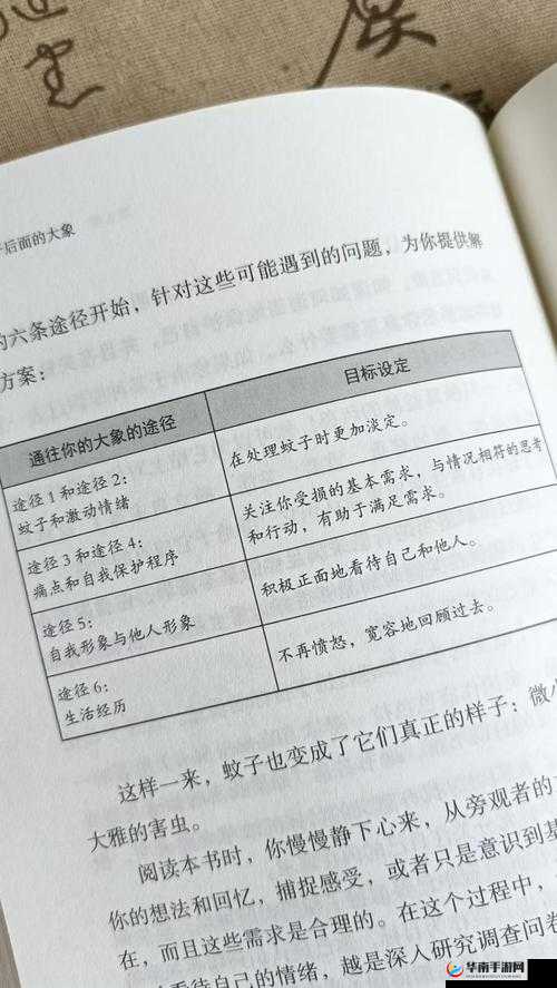 2019 最好看中文究竟有何魅力？为何它能备受关注与青睐？一起探究