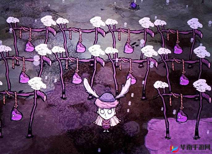 饥荒晾肉架有什么用