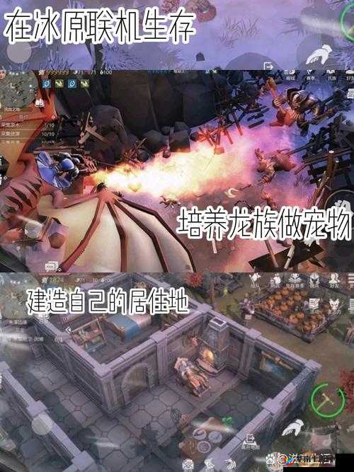 冰原守卫者龙怎么升星，未来玩法革命的深度剖析