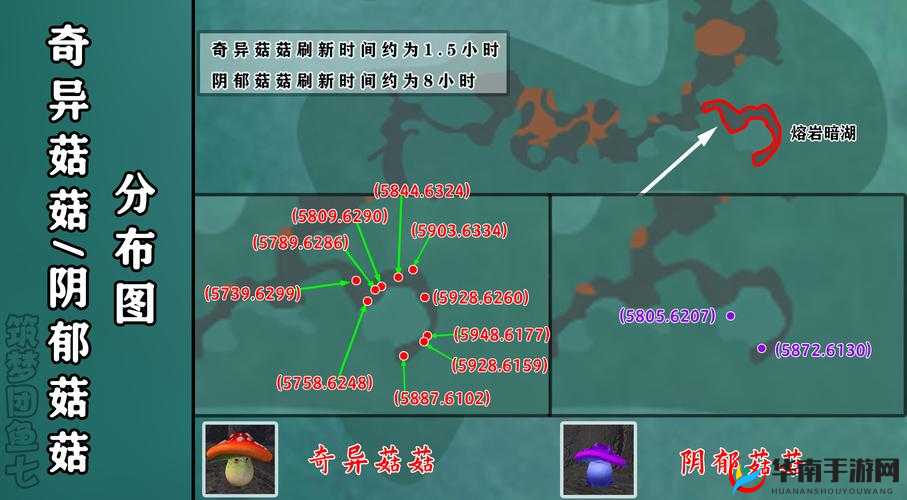 创造与魔法战宠怎么抓，深度解析与实战指南