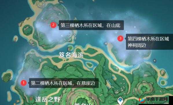 原神栖木探秘，解锁迷雾中的神秘位置