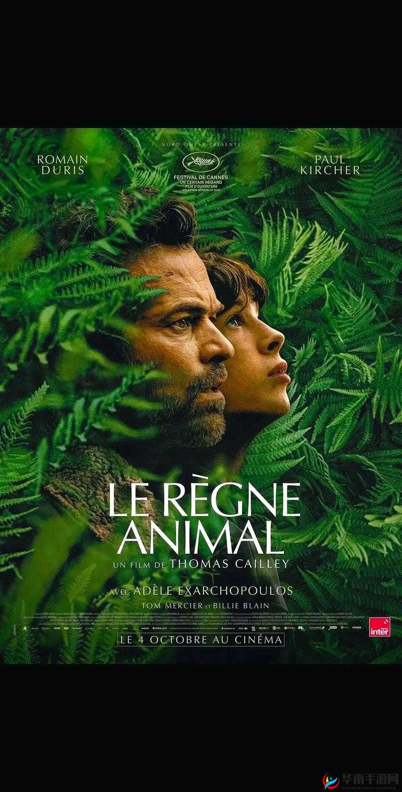 人物动物高清在线观看定档：最新热门影视作品抢先看，精彩剧情不容错过