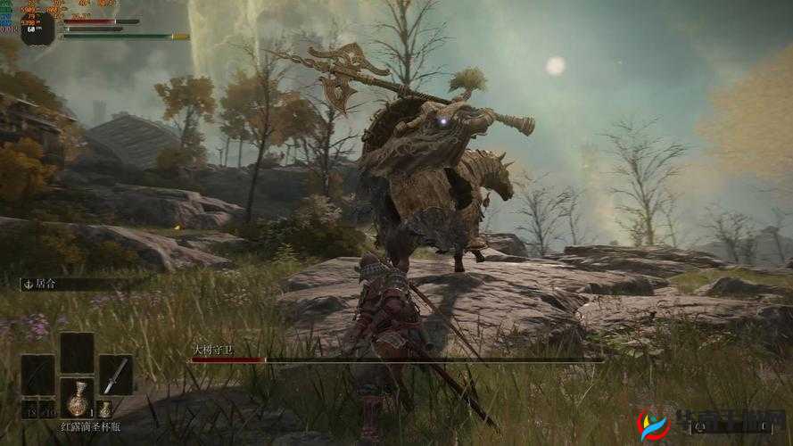 冰原守卫者铁树木探寻之旅