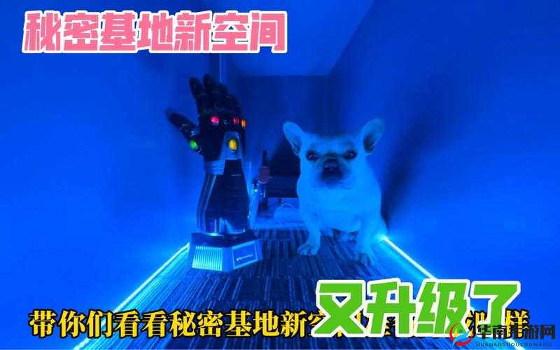 秘密基地 1 动画大揭秘：这里究竟隐藏着怎样的秘密与精彩？