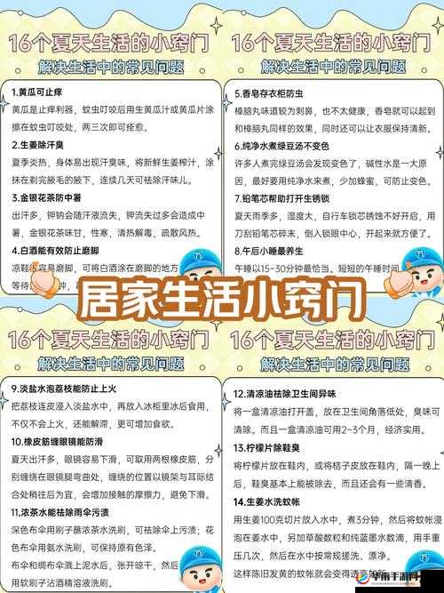 独家实用独家提供：如何利用独家实用技巧提升生活效率？