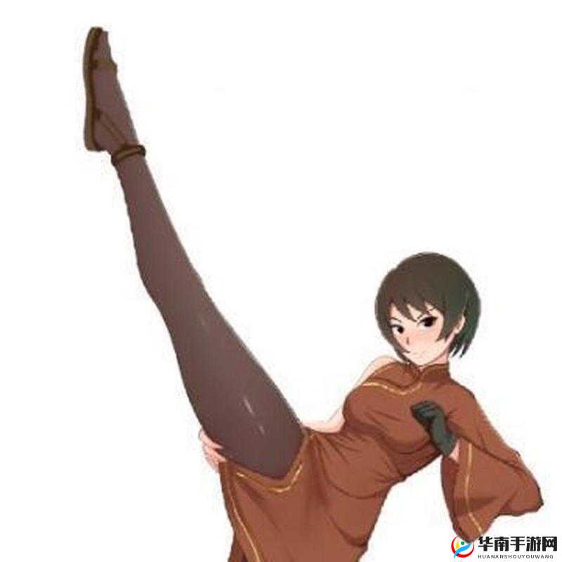 黑土腿法娴熟脚法精湛视频教学：从基础到高级的完整腿法技巧详解