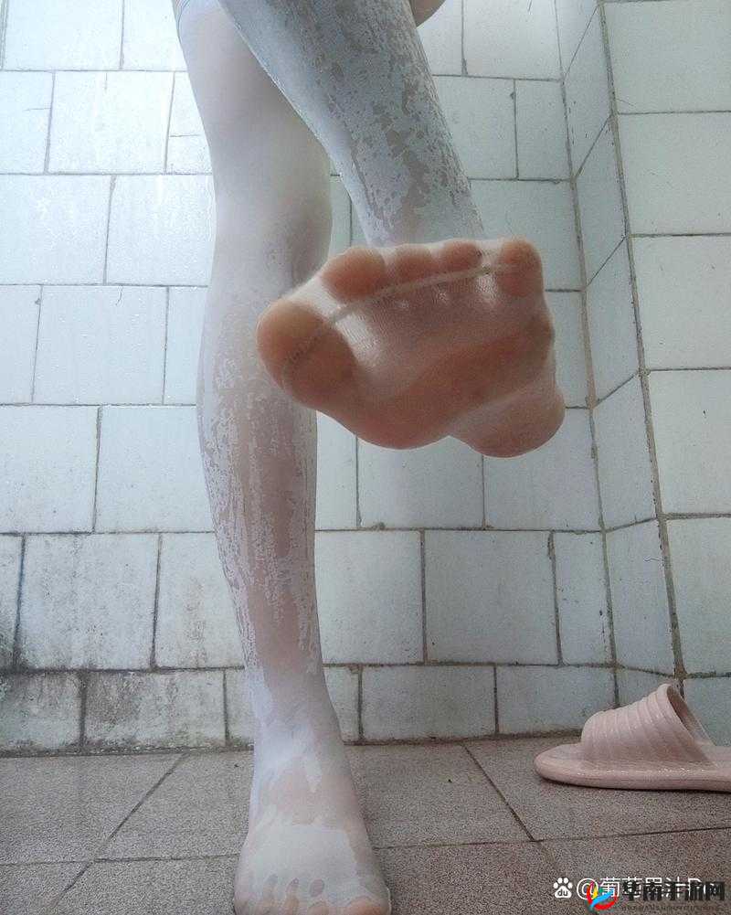 探索死库水与白丝文化：如何正确理解并欣赏这一独特的时尚与自慰现象