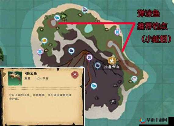 创造与魔法弹涂鱼在哪里抓