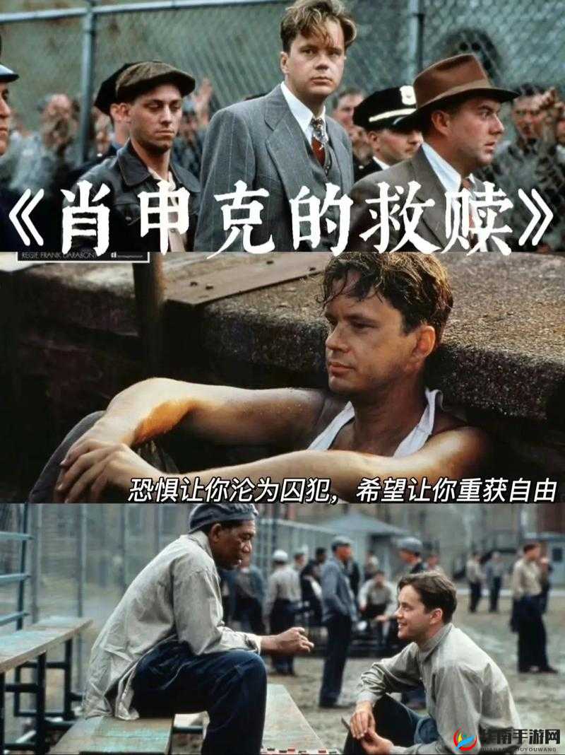 探索欧美精品片中的经典之作：揭秘肖申克的救赎与教父背后的深刻人性与时代印记