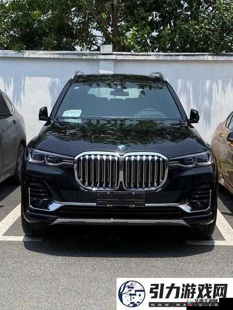 探索x7x7暴躁入口：揭秘其背后的独特魅力与使用技巧