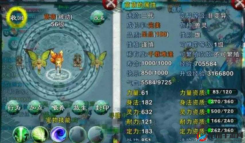 忘仙升级攻略深度解析