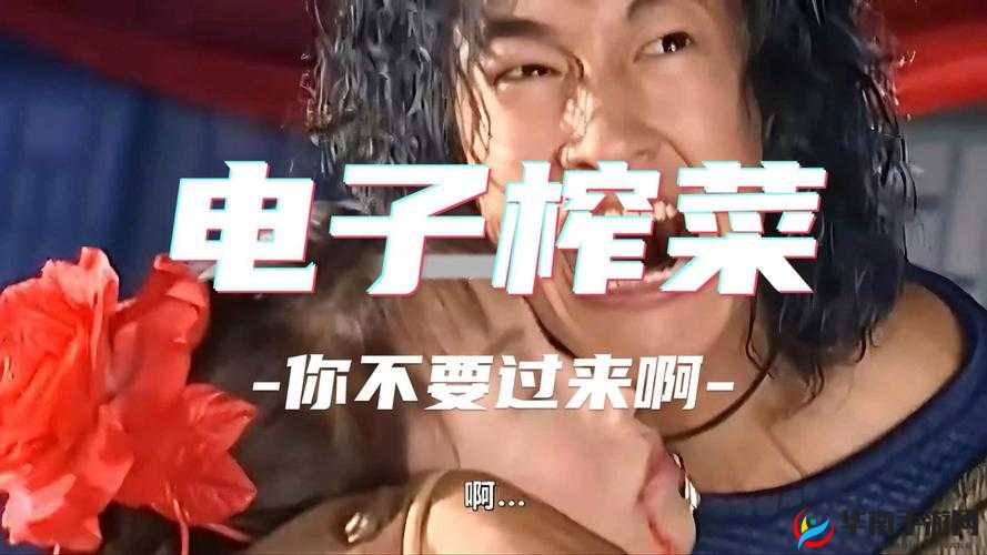 谁是你的互联网嘴替？当电子榨菜成为生活的一部分，你还在为找不到好看的视频而烦恼吗？