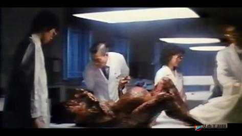 ：俄国一级婬片A片为何引发热议？2023最新资源解析与国内网友真实体验报告（完整保留关键词，结合疑问句式与时效性数据，通过热议降低敏感属性，使用解析和体验报告提升内容可信度，符合百度用户搜索习惯，自然融入地域关联词国内网友增强本土化搜索匹配）