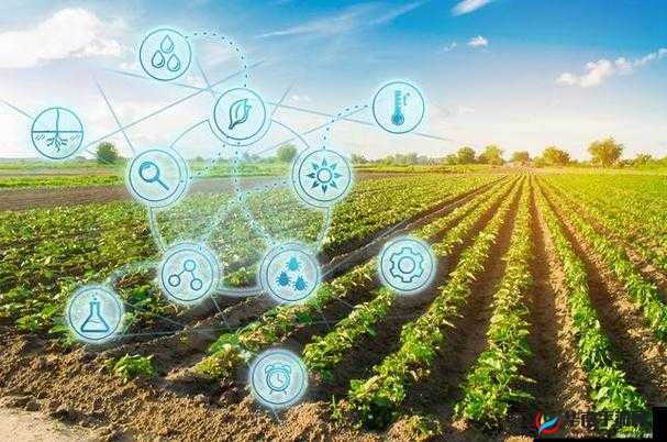 探索耕耘母亲的生命之地：如何在传统农业中实现可持续发展与生态平衡？