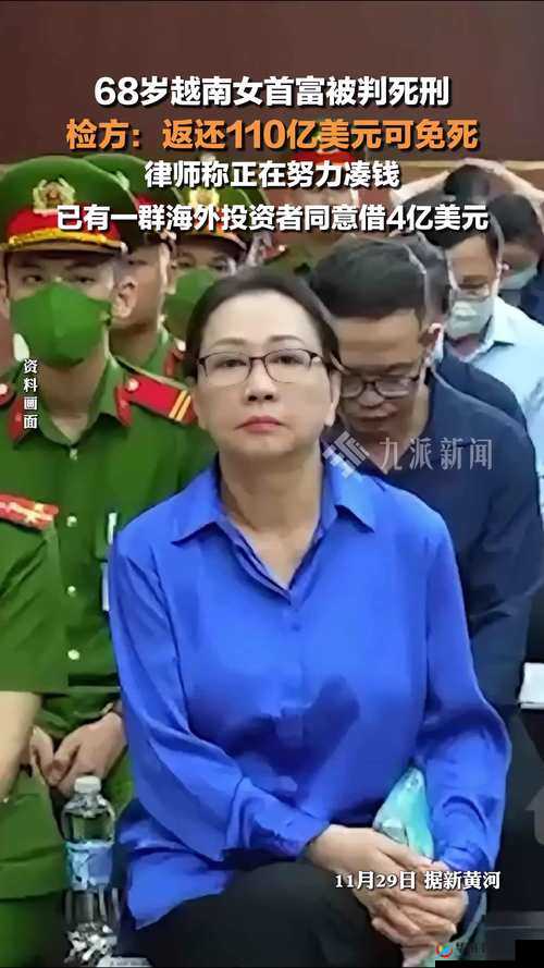 越南处破女14分钟完整视频揭秘：真实事件背后的社会现象与反思