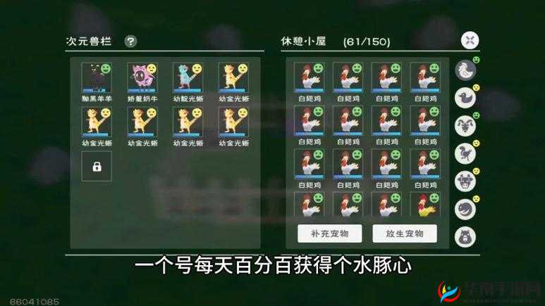 创造与魔法宠物怎么抓，资源管理中的智慧与实践