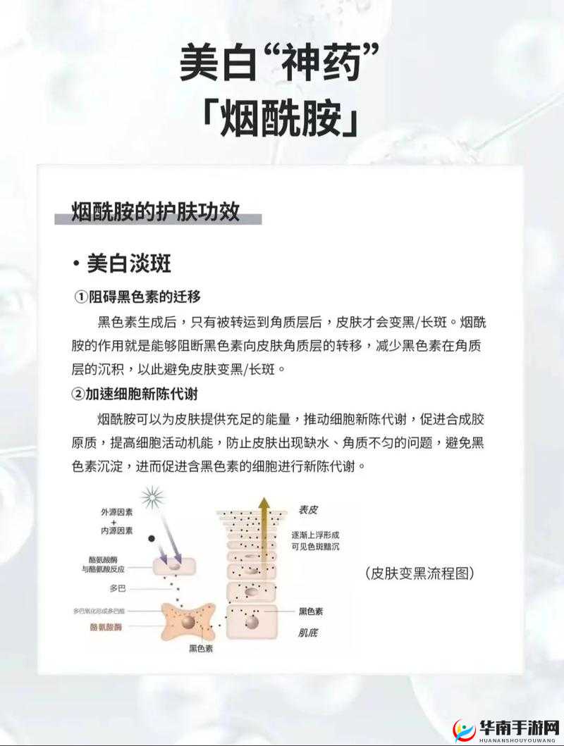 烟酰胺玻尿酸精华液正确使用方法：如何在日常护肤中发挥最大功效？
