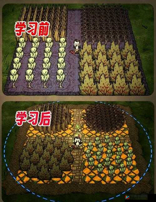 饥荒生存智慧，揭秘9大黄金建家地址