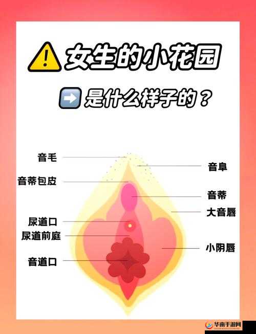 探秘什么什么爽：揭示背后的秘密，让你爽到飞起