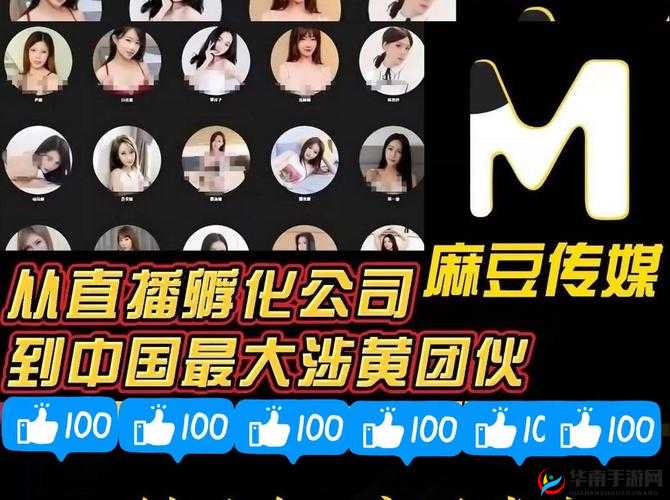 麻花豆传媒一二最新动态：揭秘其成功背后的运营策略与未来发展方向