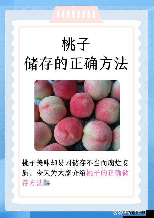 如何进行桃子移植调养？专家教你几招