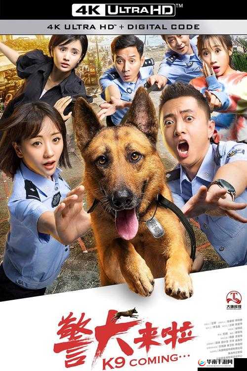 张警犬9分10秒头撞玻璃是怎么回事？为何会出现这一惊人场景？