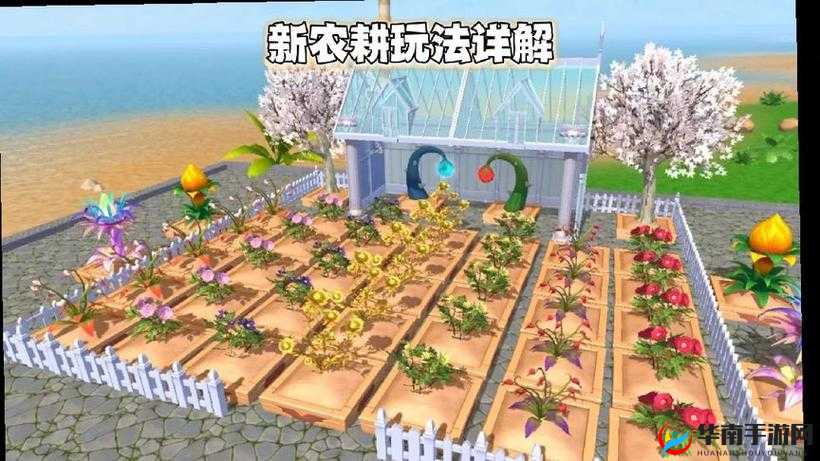 创造与魔法新农耕系统攻略