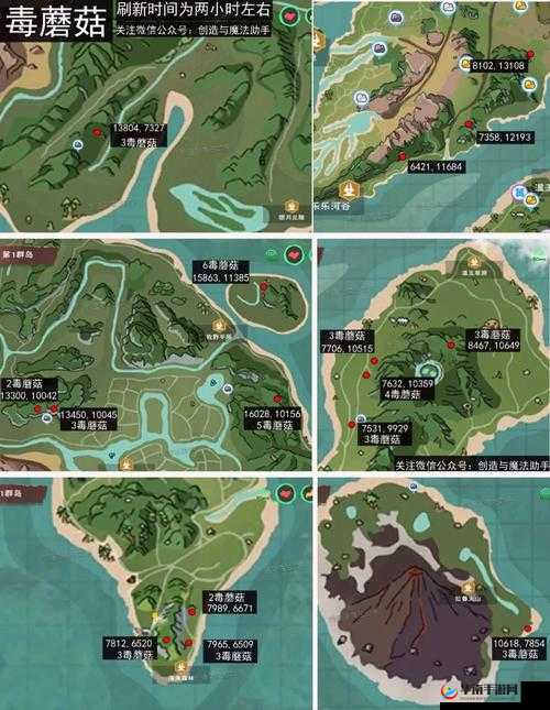 创造与魔法，精准蹲守毒蘑菇与竹笋的终极攻略