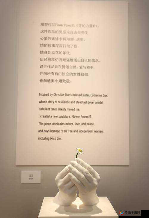 日本人在欧洲的独特生活体验：文化交融与跨国的日常观察