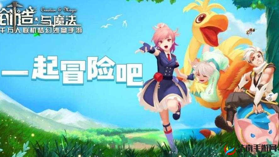 创造与魔法织梦飞羽怎么获得，全面攻略与价值最大化