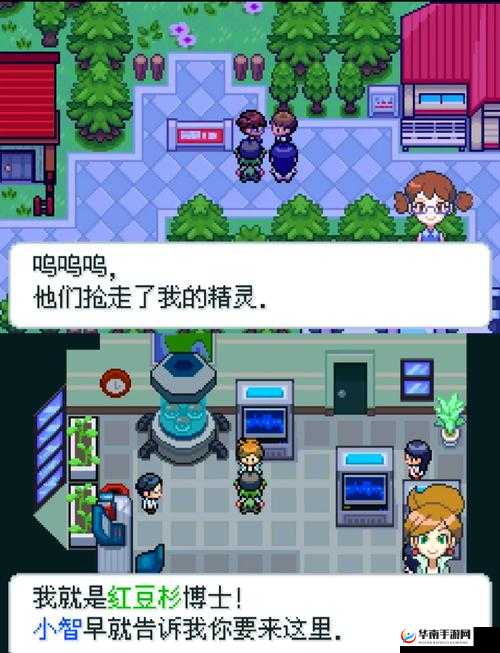 口袋妖怪入门攻略，探索无限可能的奇幻之旅