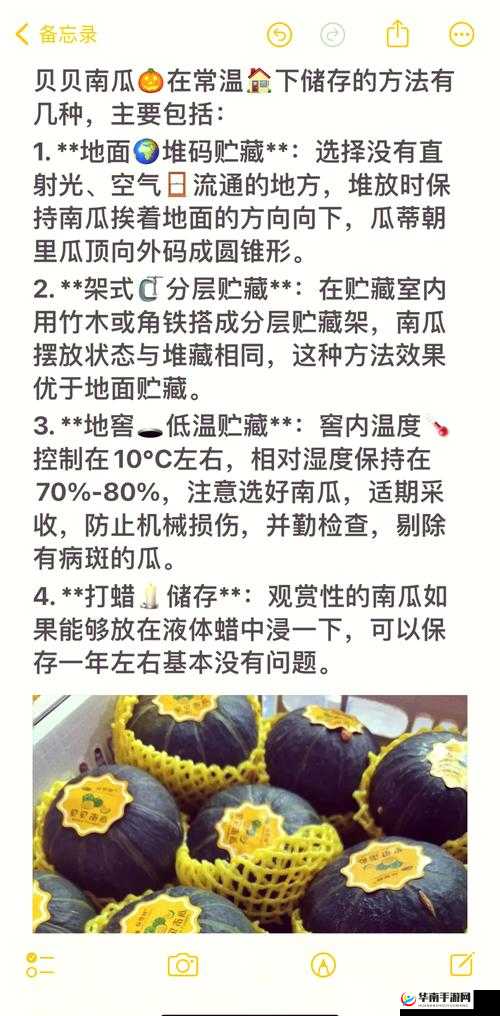 冰原守卫者，南瓜汤卡温度秘籍大公开