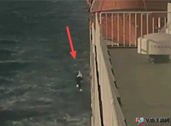 ABW311 八卦海管理局：揭开神秘面纱，探寻背后真相