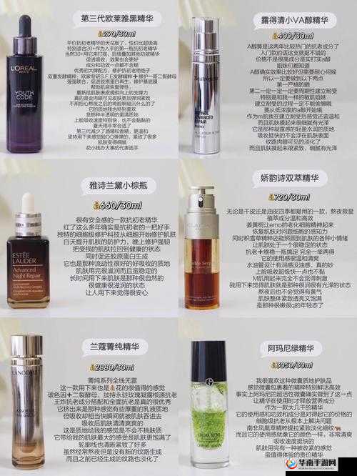 欧美和日化差异深度解析：从生活习惯到社会观念的全面对比