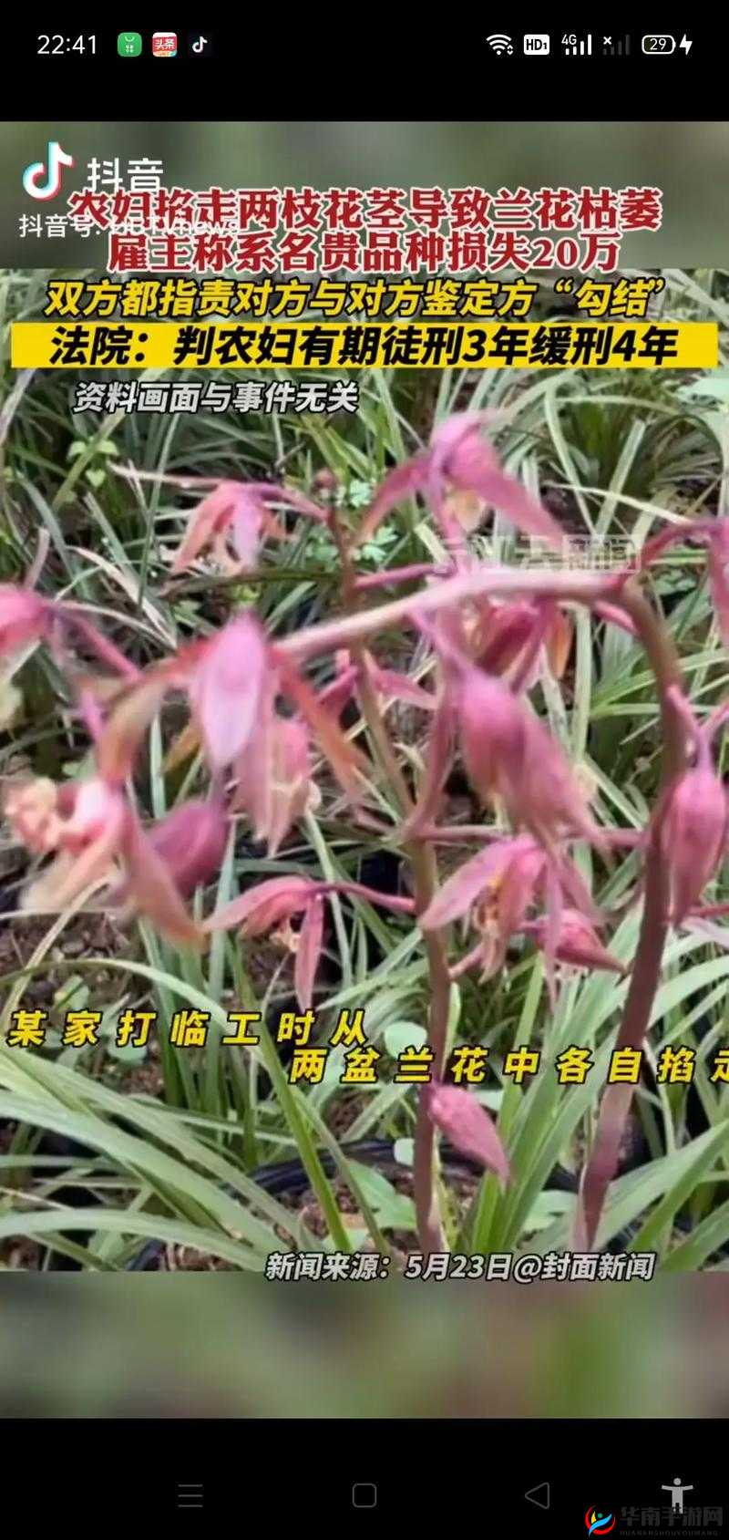 在线摘花18破除是什么？为何它引发关注？深入了解其背后的故事或者：在线摘花18破除到底是怎么回事？带你探索其中的奥秘与真相或者：想知道在线摘花18破除的真相吗？快来一探究竟吧