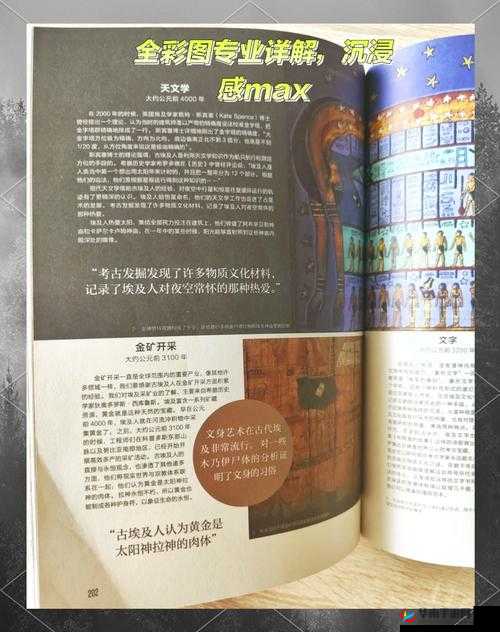 西方 37 大但人生成：探索西方神秘文化，揭示人生真谛的 37 个秘密