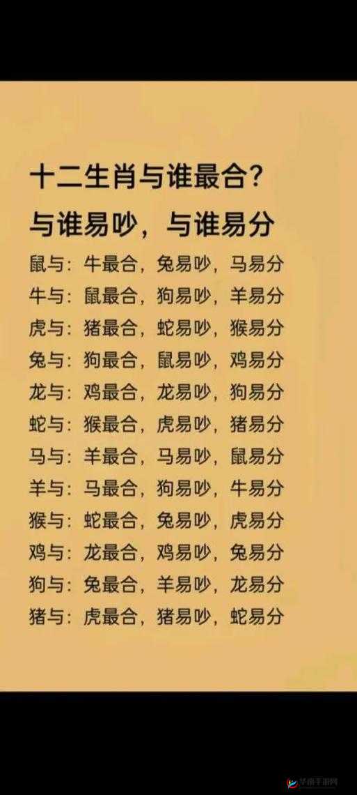 如何高效完成马匹配对过程？探索其中的关键步骤与技巧