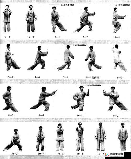 八式太极拳口令详解：轻松掌握传统太极的八个基本动作要领